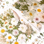 80PCS Natural Color Pressed Dried Flowers, Real Pressed Flowers, - Image 2
