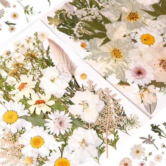 80PCS Natural Color Pressed Dried Flowers, Real Pressed Flowers, - Image 2