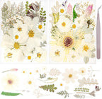 50Pcs Dried Pressed Flowers Real Pressed Flowers Natural Dry Leaves Bulk Mixed by Gvhntk