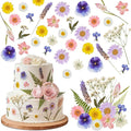 96 Pcs Natural Dried Pressed Flowers by Unknown
