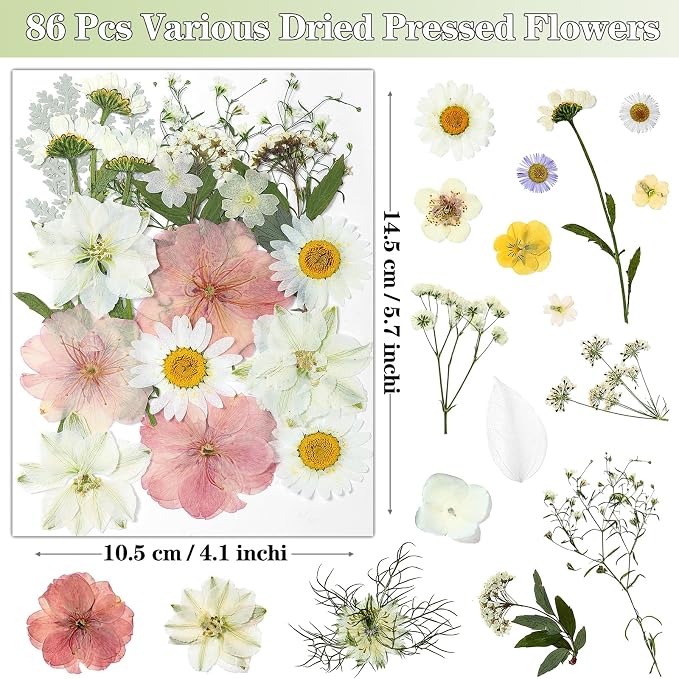 86Pcs Dried Flowers for Crafts, Real Pressed Flowers for Crafts Dried Pressed - Image 3