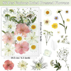 86Pcs Dried Flowers for Crafts, Real Pressed Flowers for Crafts Dried Pressed - Image 3