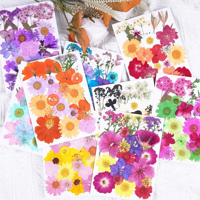 190Pcs Dried Pressed Flowers for Crafts, Xinxinran Dry Flower Kit for Resin - Image 6