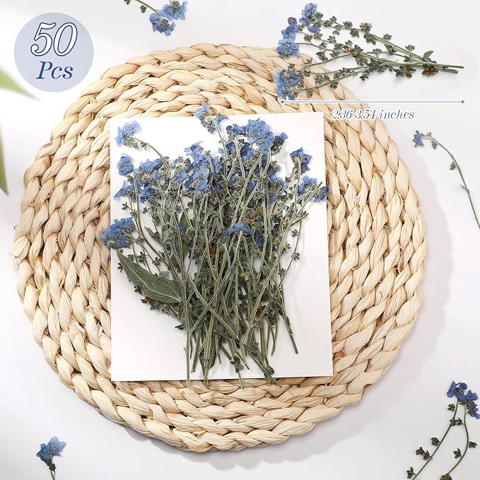 50 Pcs Natural Forget Me Not Pressed Dried Flowers Blue Don't Forget Me Dried - Image 2