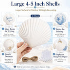 Cizavanta 15 Pack Large Scallop Shells - Image 3