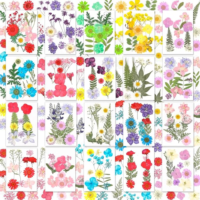200 Pcs Dried Pressed Flowers for Crafts, 20 Sheets Real Dry Florals and Leaves by Evatage