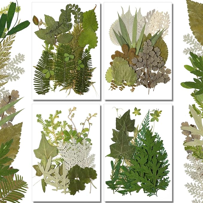 Timtin 84 Pieces Dried Pressed Leaves Flowers by Timtin