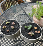 TOYPOPOR 2.2 lb Black Lava Pebble Vase Filler Pebbles Stones Crafting Floral - Image 4