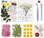95PCS Dried Pressed Flowers for Crafts by Unknown