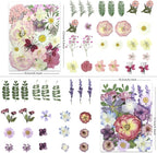 LUXEEASE 4-Color 100P Vibrant Dried Pressed Flowers | Vivid blue orange pink - Image 3