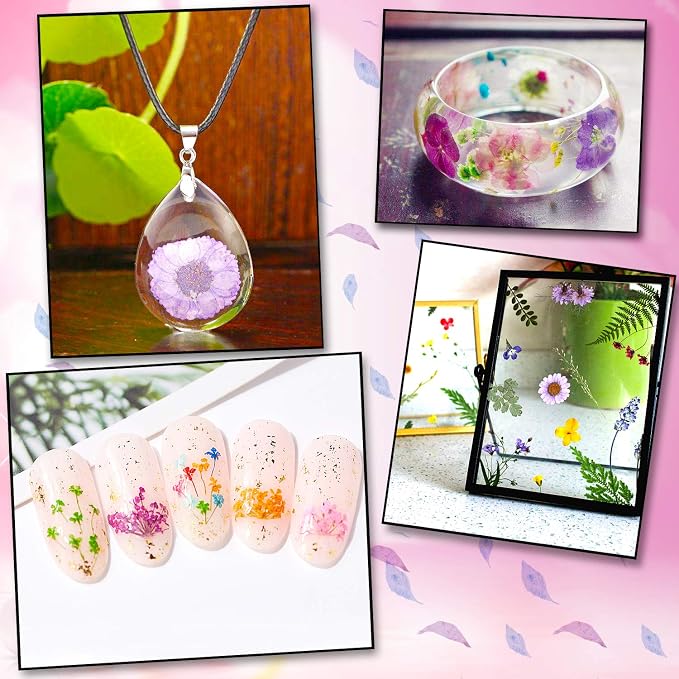 Augshy Dried Pressed Flowers for Resin, Natural Purple Dried Pressed Flowers - Image 6