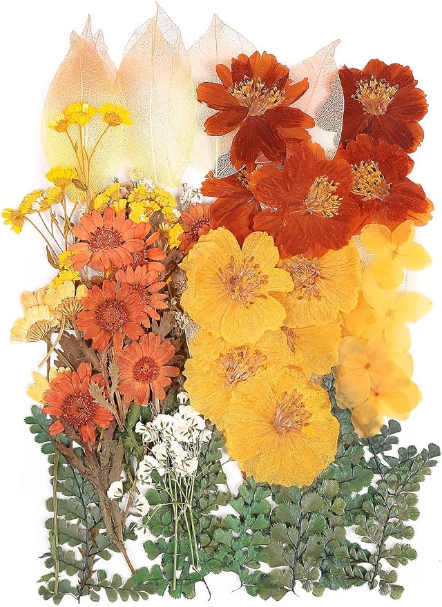 100 PCS Real Dried Pressed Flowers Leaves Natural Plant Herbarium by AHTONG
