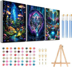 3 Pack Framed Paint by Numbers for Adult by MeothanDiamondPainting