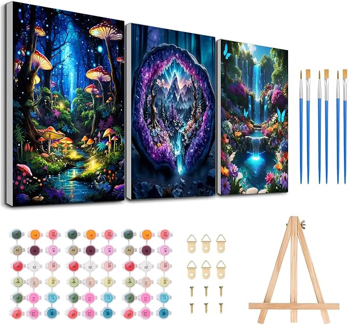 3 Pack Framed Paint by Numbers for Adult by MeothanDiamondPainting