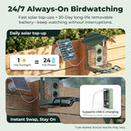 Kiwibit Smart Bird Feeder with Camera Solar Powered, 4K Video Live Stream - Image 3