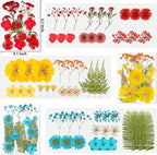 NESCCI Dried Pressed Flowers for Resin - Image 2