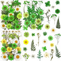 84 Pcs Green Dried Pressed Flowers Real Natural Leave by LUCISKY