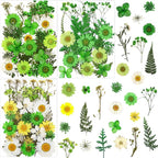 84 Pcs Green Dried Pressed Flowers Real Natural Leave by LUCISKY