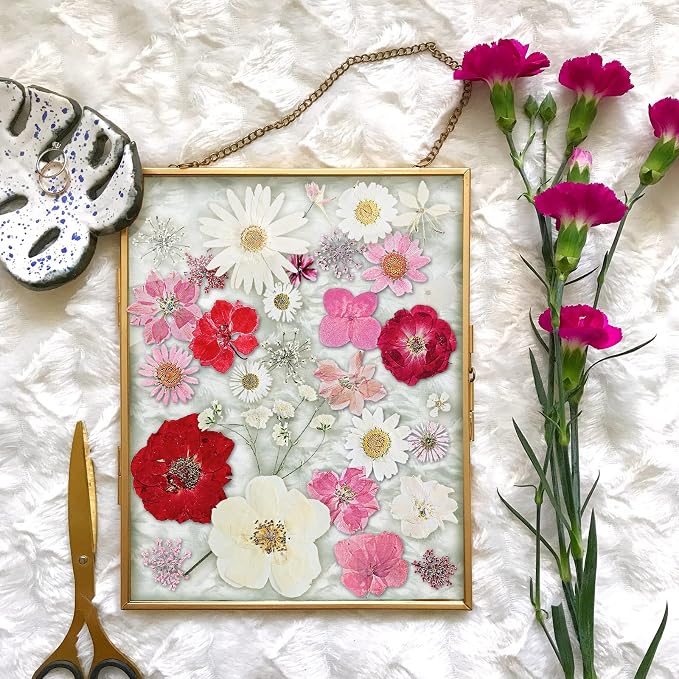 Nuanchu Dried Flower for Crafts Resin Pressed Flowers Bulk Real Dried - Image 5