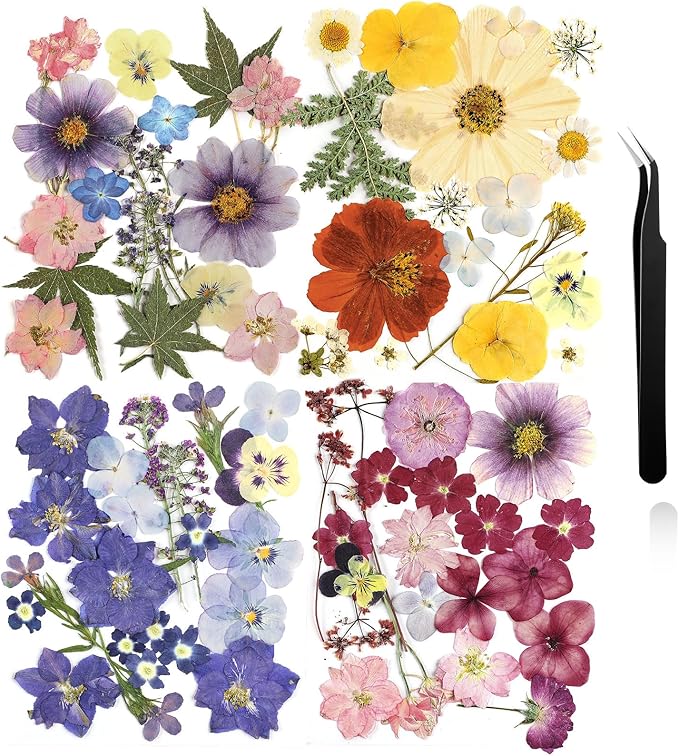 Nuanchu Dried Pressed Flowers for Crafts Resin Real Flat Dried Flowers Leaves by Nuanchu