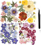 Nuanchu Dried Pressed Flowers for Crafts Resin Real Flat Dried Flowers Leaves by Nuanchu