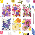 Dried Pressed Flowers Real Pressed Flowers Natural Dry Leaves Bulk Mixed by Gvhntk