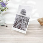 Plymor Clear Acrylic 60-Degree Angle Easel - Image 8