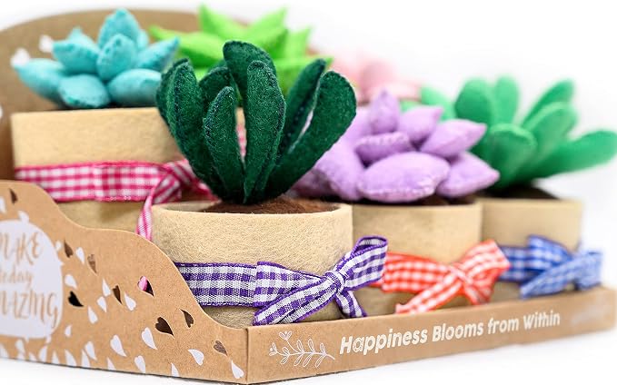 Glittery Garden Felt Succulent Craft Kit. Sewing Project to Make 6 Plushies | - Image 2