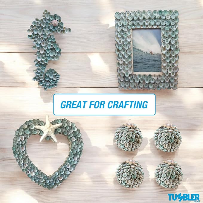 Sea Shells for Crafting, jewelry making, decoration, centerpieces, vase filler - Image 3