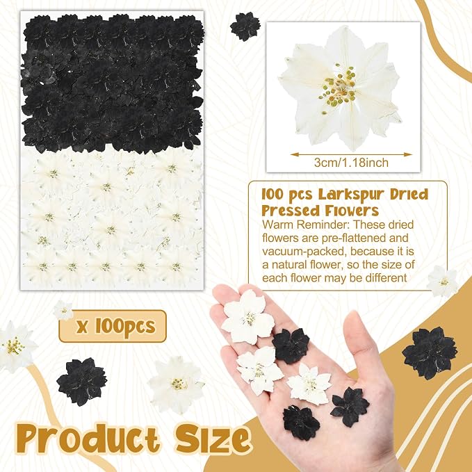 Woanger 100 pcs Dried Pressed Flowers Small Dry Flowers Real Natural Resin - Image 2