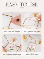 REDHUGO Hanging Pressed Flower Frames, Double Glass Floating Picture Frame - Image 8