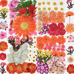 136pcs Dried Flowers for Resin, Dried Pressed Flowers for Crafts Bulk for by WXQX
