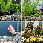 5LB Decorative River Rocks Gravel - Image 4