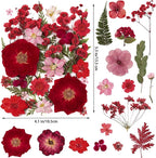 101 PCS Red Dried Pressed Flowers - Image 2