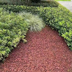 YISZM 2LB Succulent and Cactus Gravel Pebbles, 1/5 Inch Natural Decorative - Image 7