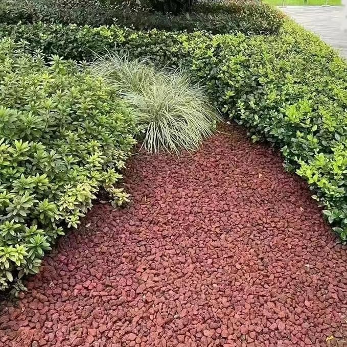 YISZM 5LB Succulent and Cactus Gravel Pebbles, 1/5 Inch Natural Decorative - Image 7