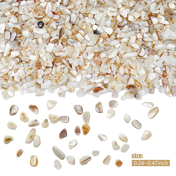 Crushed Shells for Crafts, Sea Shells for Kids DIY Art, Vase Fillers Table - Image 5