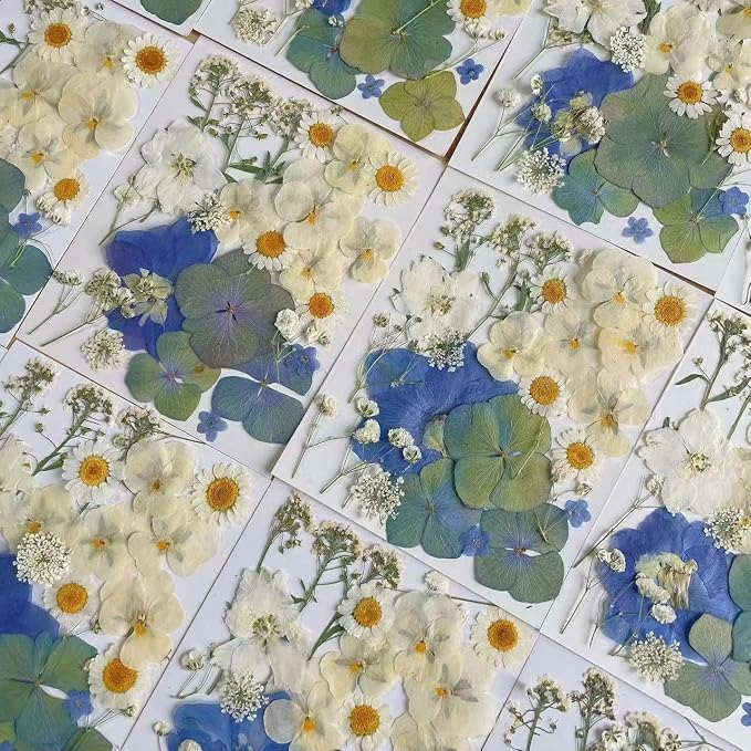 26pcs Dried Pressed Flowers for Resin Molds, YouthBro Real Natural Pressed - Image 2