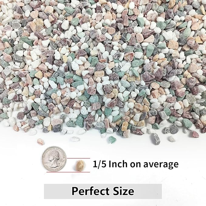 YISZM 2LB Succulent and Cactus Gravel Pebbles, 1/5 Inch Natural Decorative - Image 2