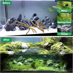 kathson Natural Driftwood for Aquarium - Image 5