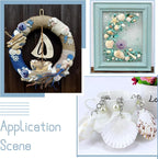 KISSITTY 500 Grams Dyed Scallop Beach Sea Shell Beads - Image 4