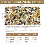FANTIAN Small Pebbles for Plants, 5 LB Natural Smooth Colorful River Rocks - Image 8