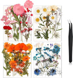 Nuanchu Dried Pressed Flowers for Crafts Resin Real Flat Natural Pressed Flowers by Nuanchu