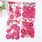 110Pcs Red Dried Pressed Flowers - Image 4