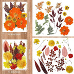Nuanchu Fall Pressed Flowers Bulk Dried Flower - Image 4