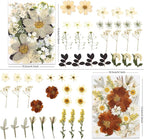 LUXEEASE 100P Vintage Cream Brown Dried Pressed Flowers | Earthy warm palette - Image 3