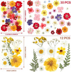 Nuanchu Pressed Flowers Bulk Dried Flower - Image 4