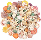 Fangoo 1.5 LB Mixed Sea Shells, 130+ PCS Beach Seashells Starfish Oyster Shells by Fangoo