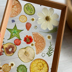 Nature Dried Pressed Fruits Flowers - Image 5