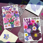 MIKIYA 54Pcs Purple Pressed Dried Flowers - Image 4